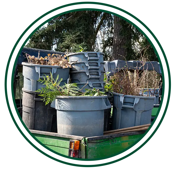 Yard Waste Removal